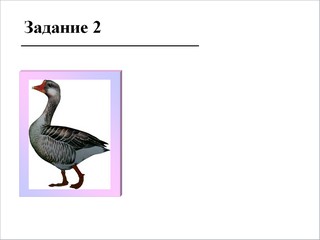 Образец слайда 10 из презентации "Вопросы".