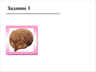 Образец слайда 3 из презентации "Вопросы".